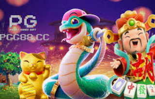 世界杯下单平台网站官网2024最新版